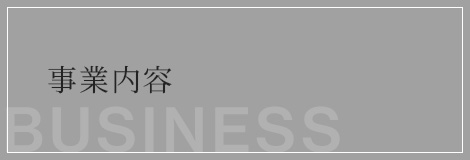 bnrhalf_business